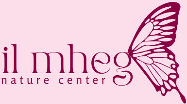 Logo with a butterfly wing says "il mheg nature center"